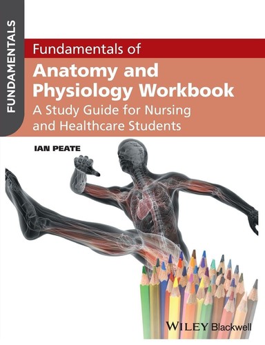 Fundamentals anatomy and - fundamentals,